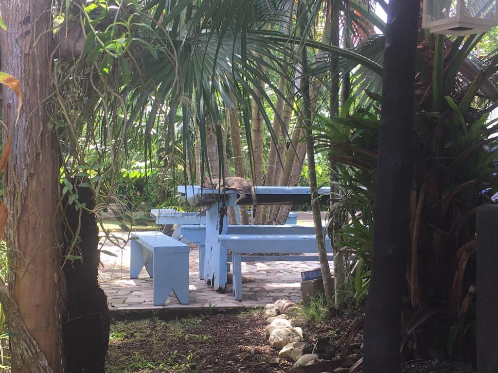 Olivias Accommodation Samoa