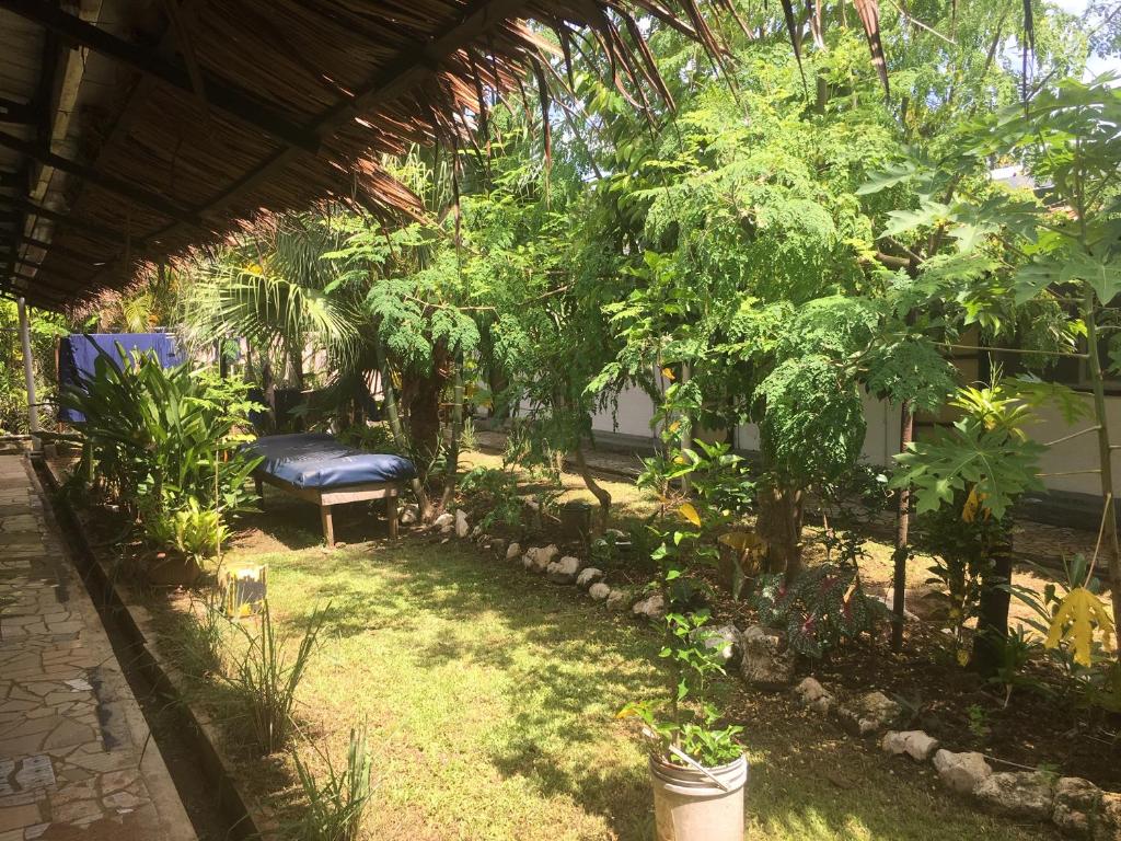 Olivias Accommodation Samoa